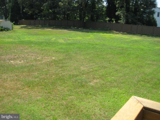 Deck - View from