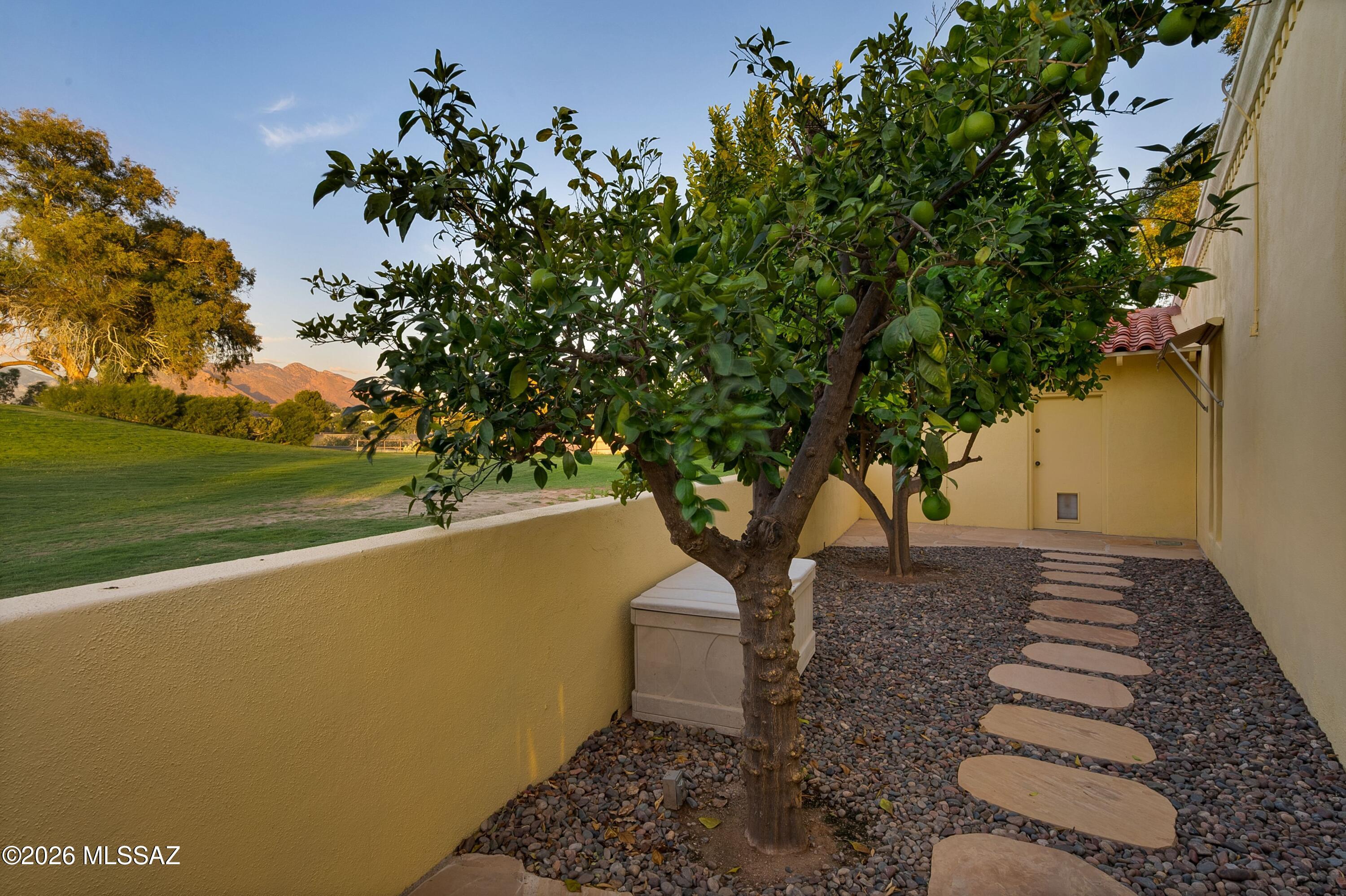 2702 West Magee Road Tucson, AZ 85742 - Photo 35 of 51 Sideyard Patio