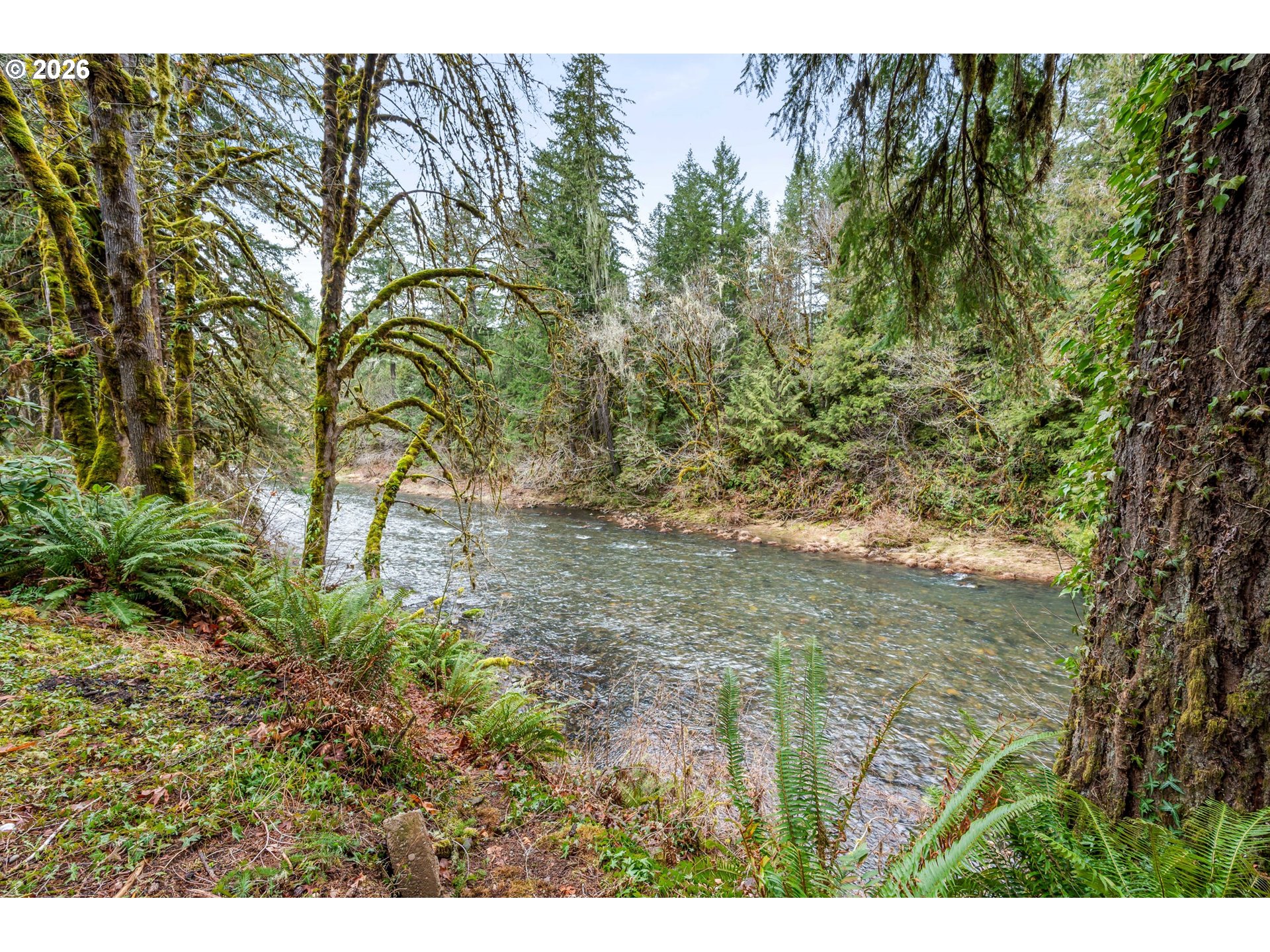 43599 Big Fall Creek Road Fall Creek, OR 97438 - Photo 34 of 42