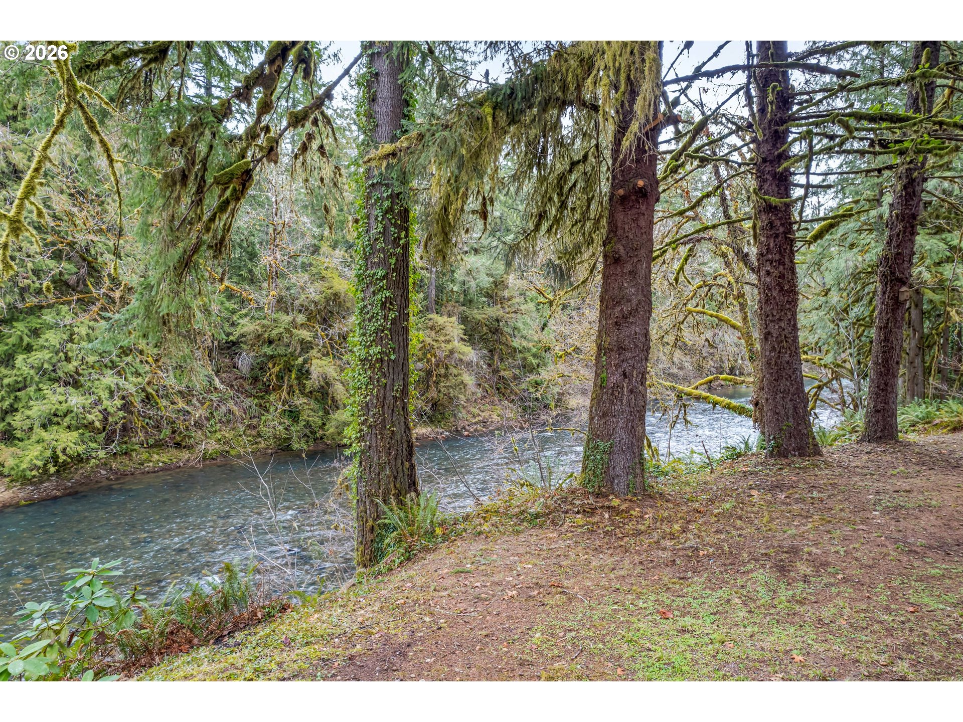43599 Big Fall Creek Road Fall Creek, OR 97438 - Photo 42 of 42