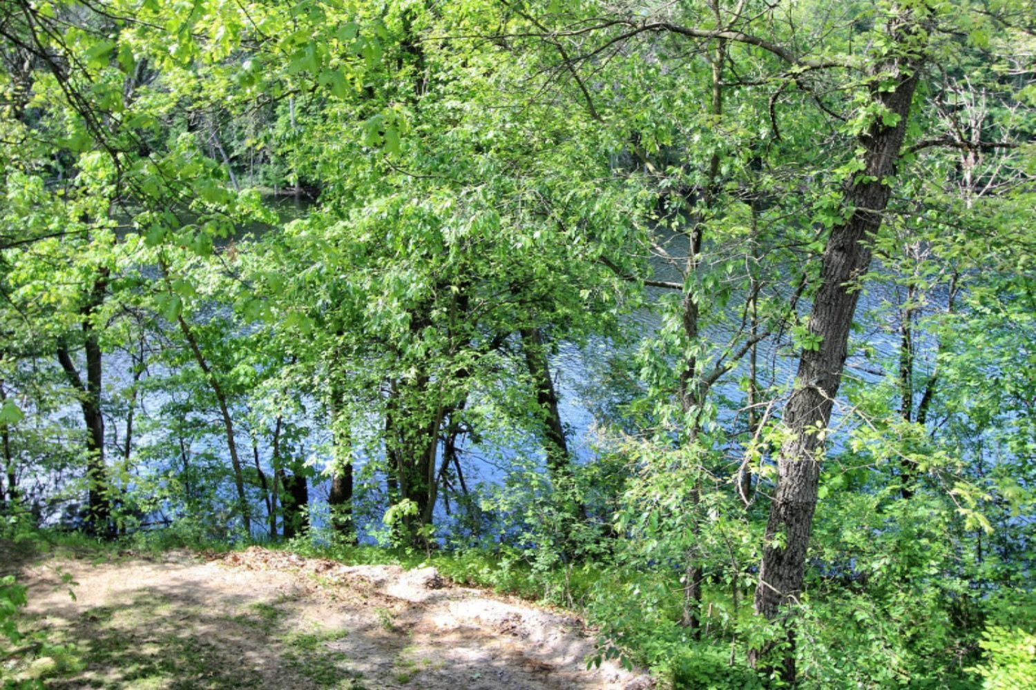 7981 Fletcher Road Greenville, MI 48838 - Photo 16 of 47 7981 Fletcher Road Greenville-large-016-