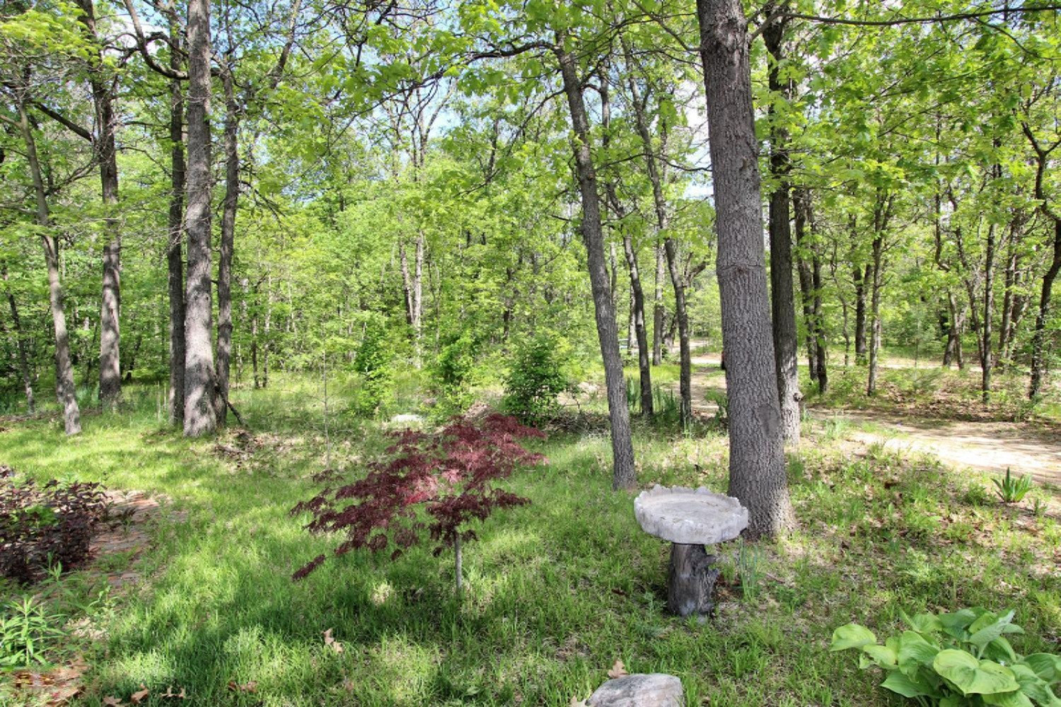 7981 Fletcher Road Greenville, MI 48838 - Photo 2 of 47 7981 Fletcher Road Greenville-large-002-