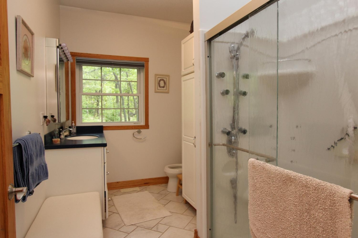 7981 Fletcher Road Greenville, MI 48838 - Photo 29 of 47 7981 Fletcher Road Greenville-large-029-