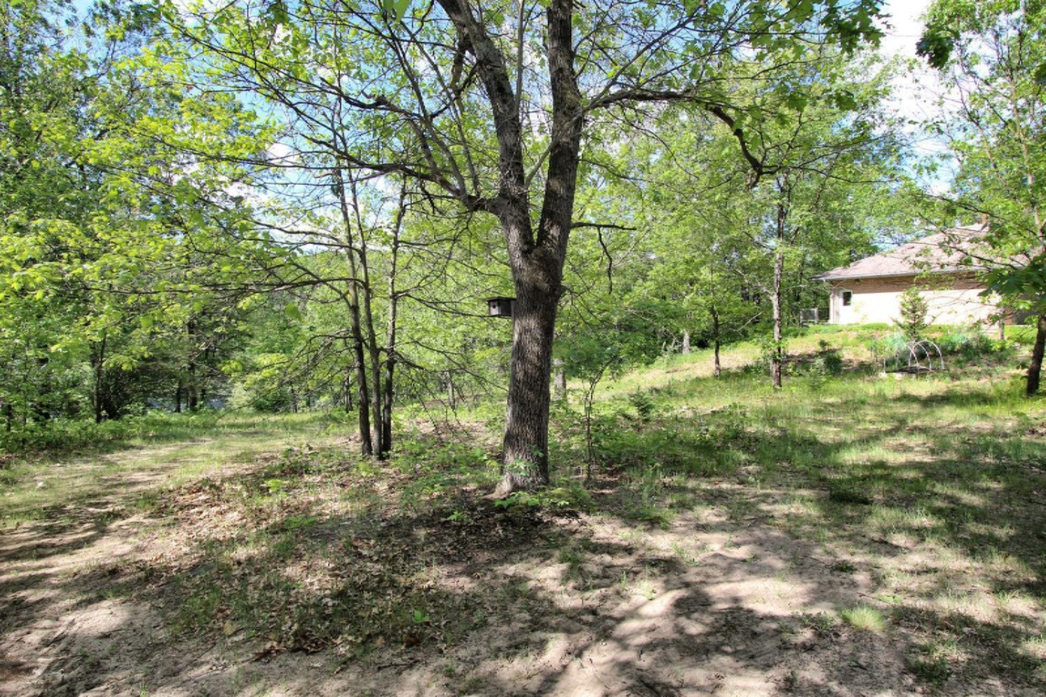 7981 Fletcher Road Greenville, MI 48838 - Photo 41 of 47 7981 Fletcher Road Greenville-large-041-