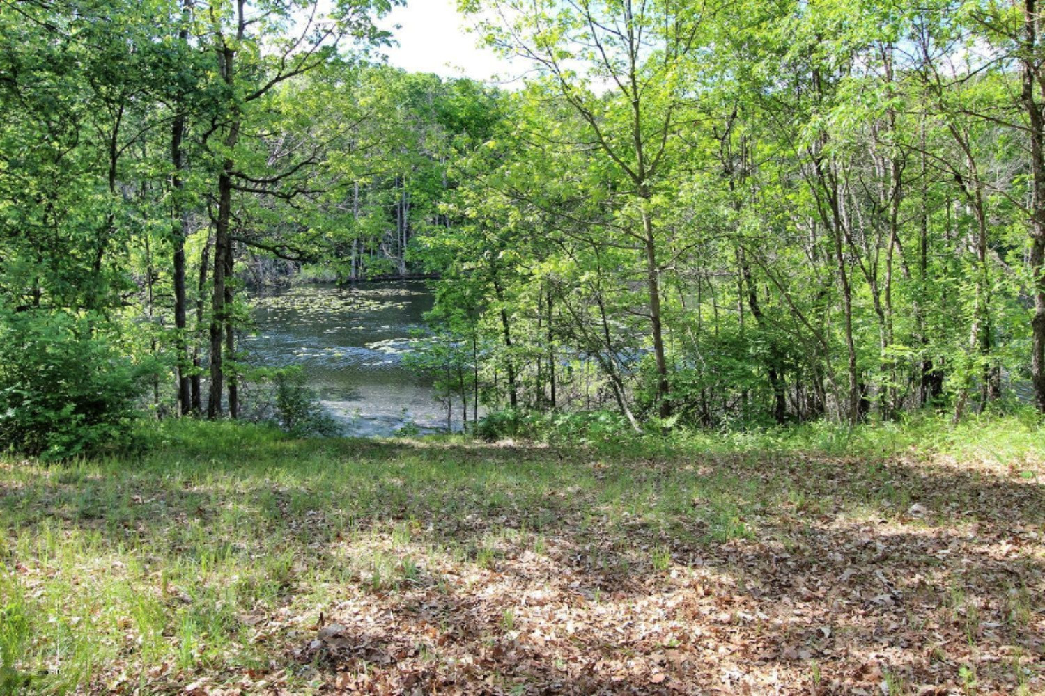 7981 Fletcher Road Greenville, MI 48838 - Photo 43 of 47 7981 Fletcher Road Greenville-large-043-