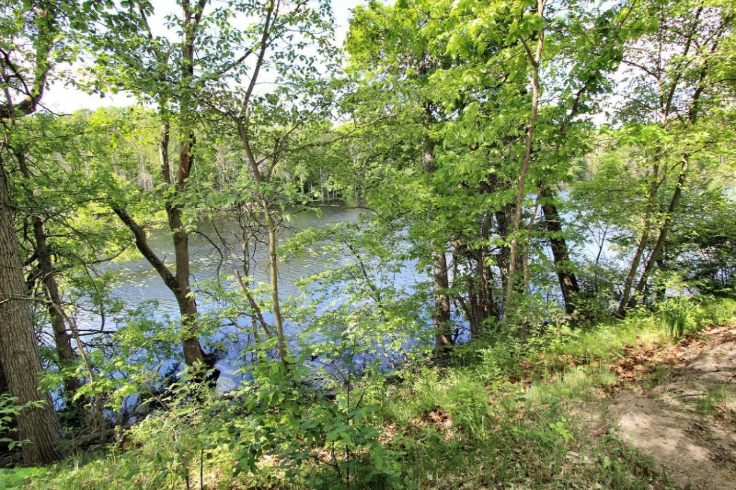 7981 Fletcher Road Greenville, MI 48838 - Photo 44 of 47 7981 Fletcher Road Greenville-large-044-