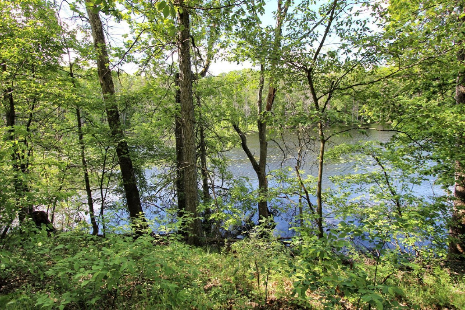 7981 Fletcher Road Greenville, MI 48838 - Photo 5 of 47 7981 Fletcher Road Greenville-large-005-