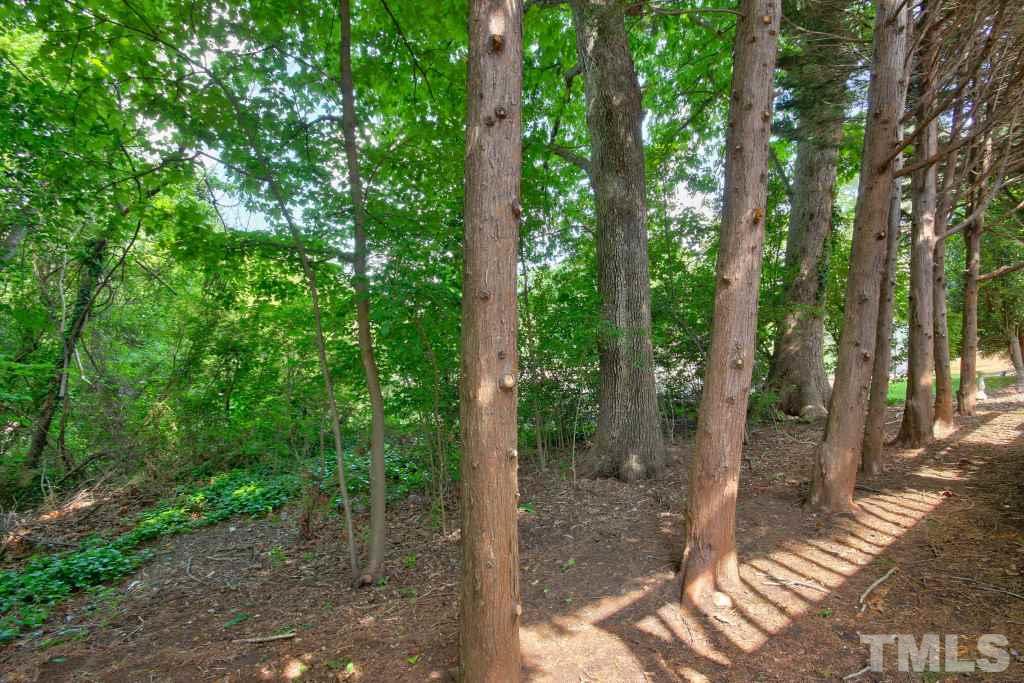 3017 Rue Sans Famille Raleigh, NC 27607 - Photo 14 of 18