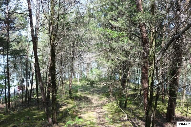 0 Lot 35 Buck Horn Road Sevierville, TN 37876 - Photo 8 of 30