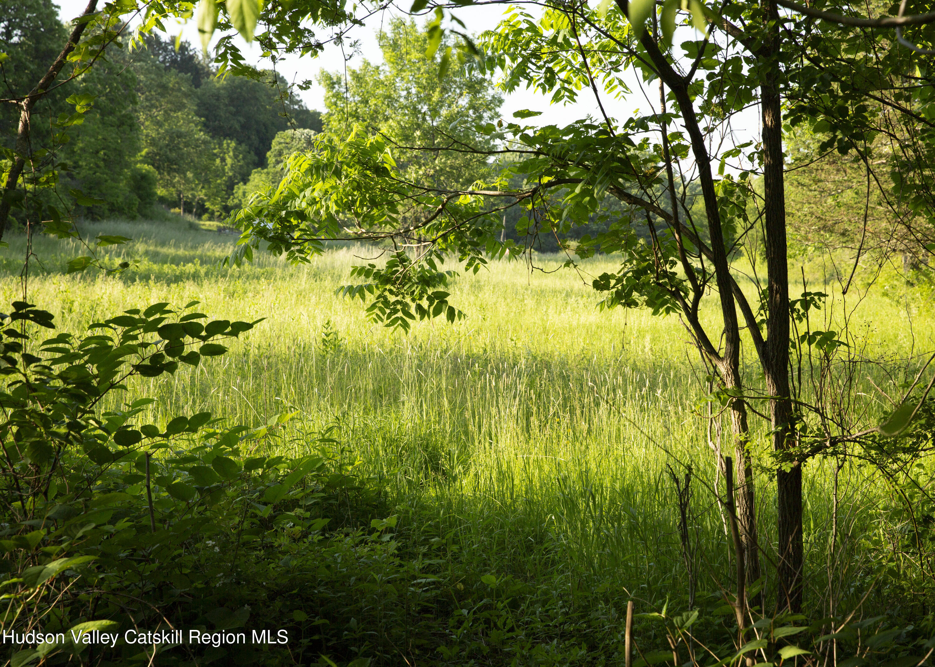 222 Main Street Germantown, NY 12526 - Photo 35 of 36 a view of swimming pool from a yard