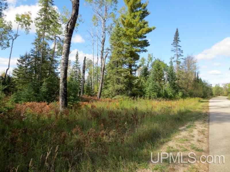 Tbd Browns Lake Road Vulcan, MI 49892 - Photo 1 of 4