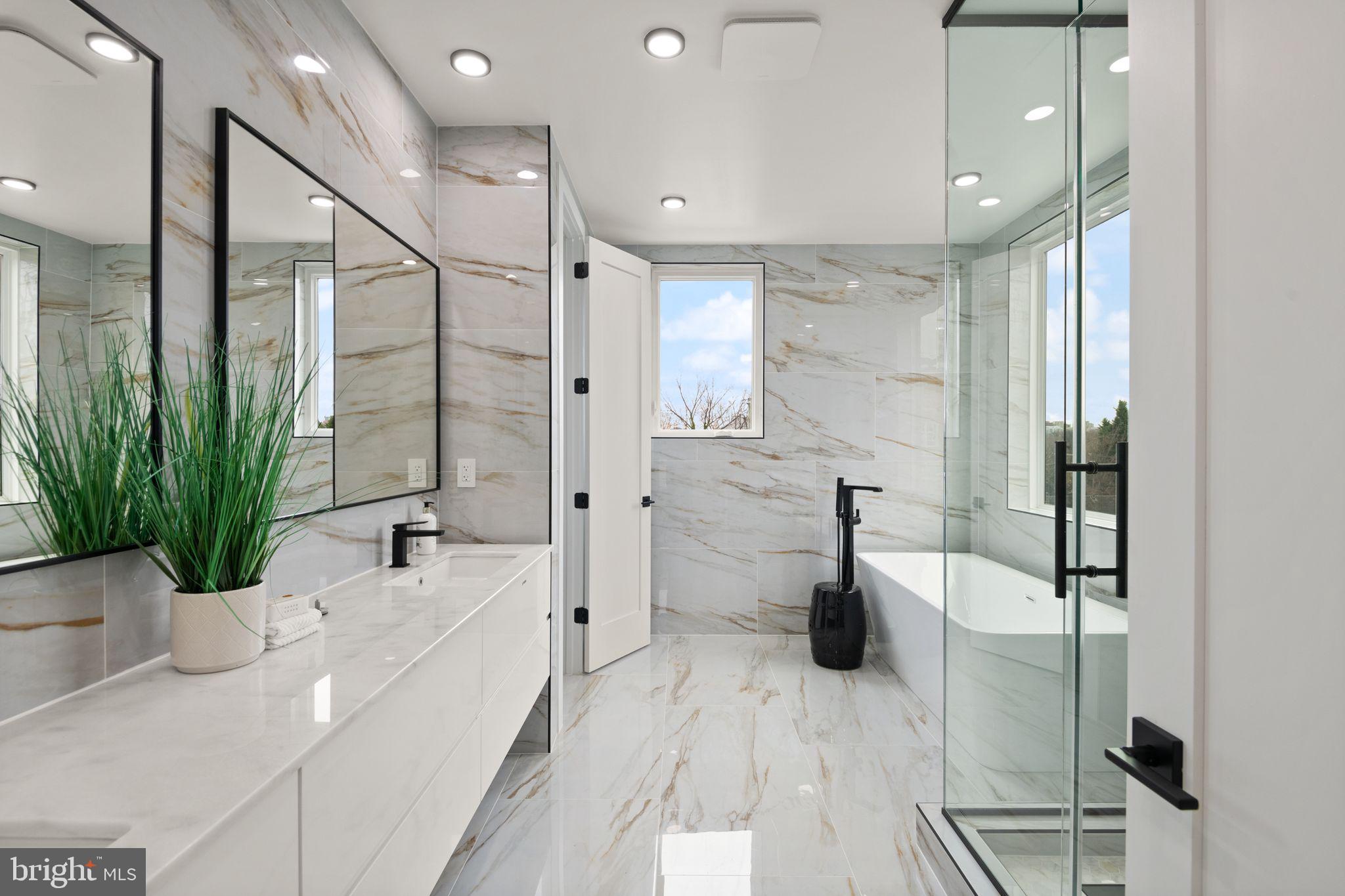 1610 Foxhall Road Northwest Washington, DC 20007 - Photo 41 of 66 a bathroom with a tub a potted plant and a large mirror