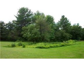 1190 New Hampton Road Sanbornton, NH 03269 - Photo 3 of 5
