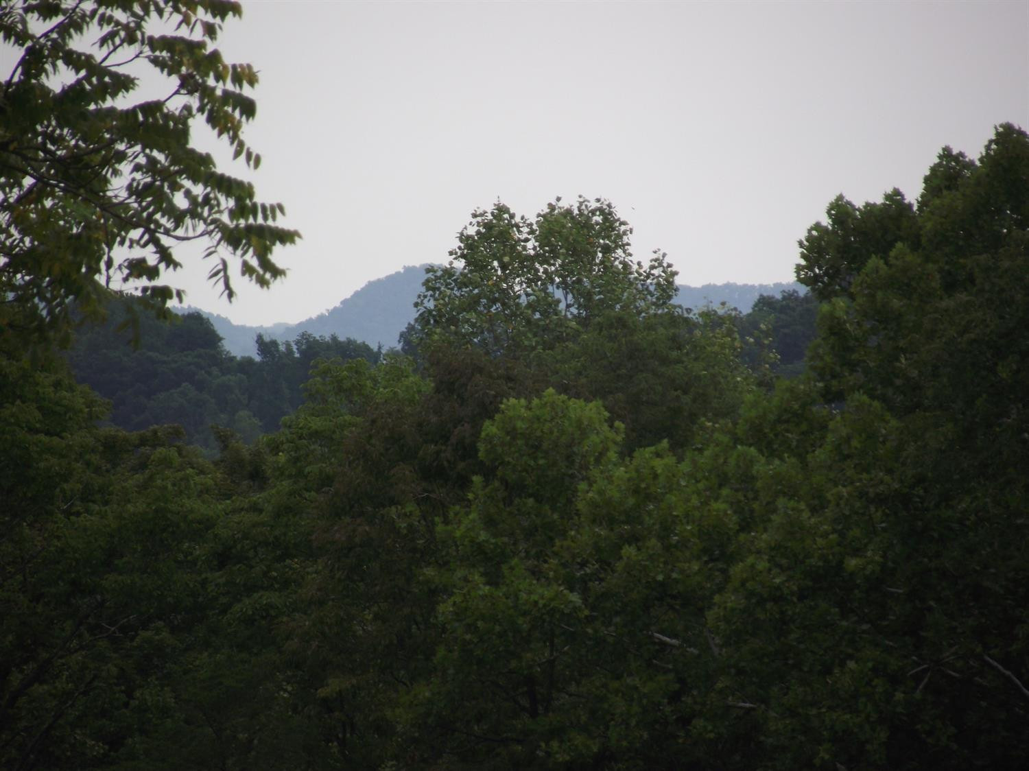 14410 Irvine Road Winchester, KY 40391 - Photo 23 of 25 Photo 23