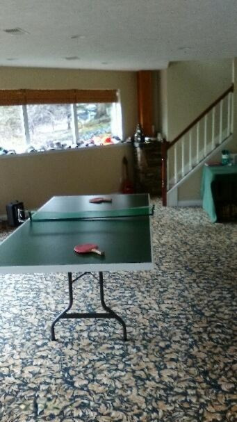 70 North Patterson Road Wayland, MI 49348 - Photo 21 of 27 Downstairs Rec room