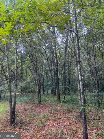 $390,000 | 1508 Liberty Expressway, Albany, GA 31705