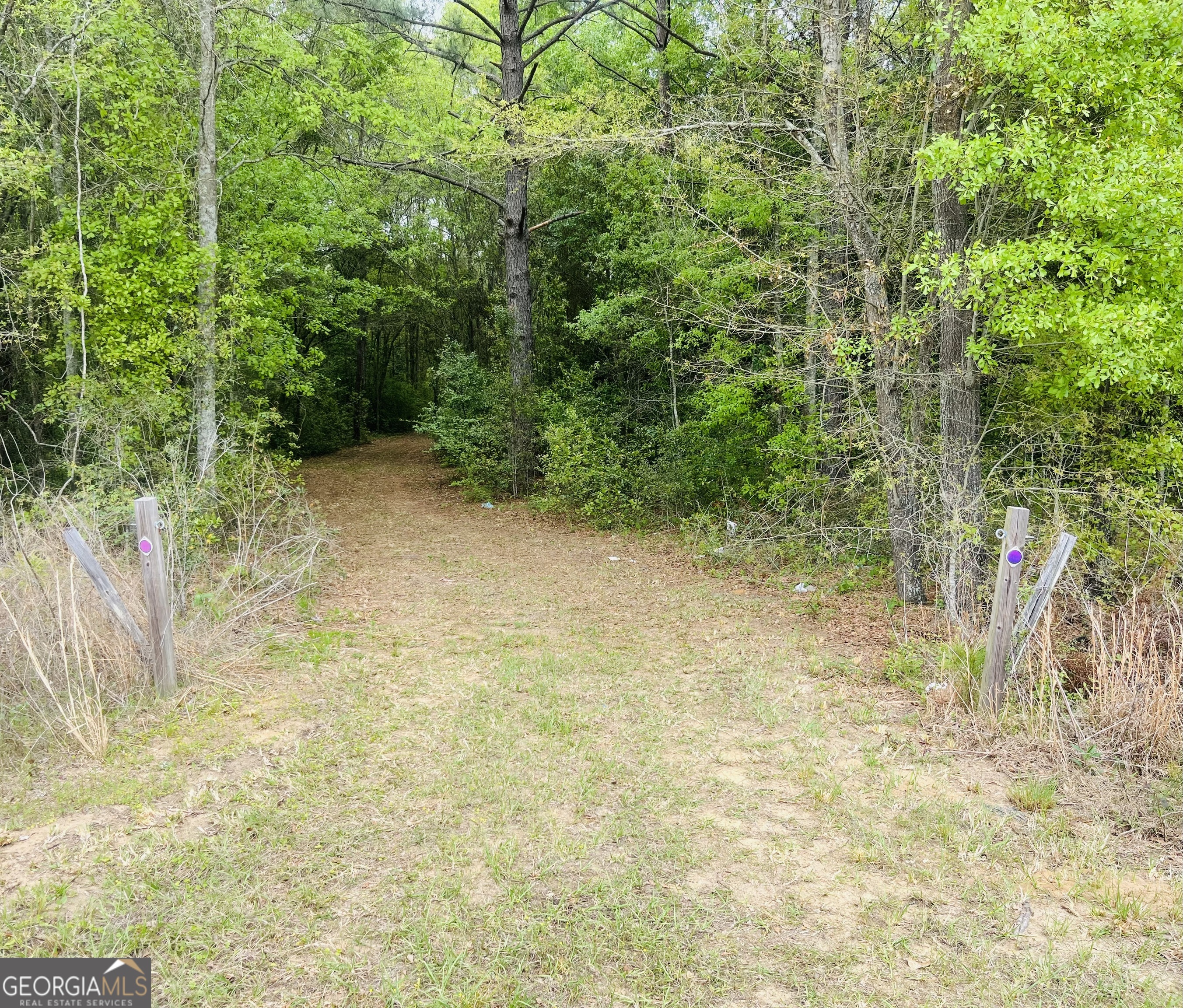 1508 Liberty Expressway Albany, GA 31705 - Photo 53 of 55
