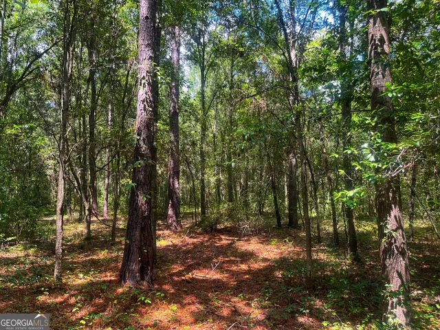 $390,000 | 1508 Liberty Expressway, Albany, GA 31705