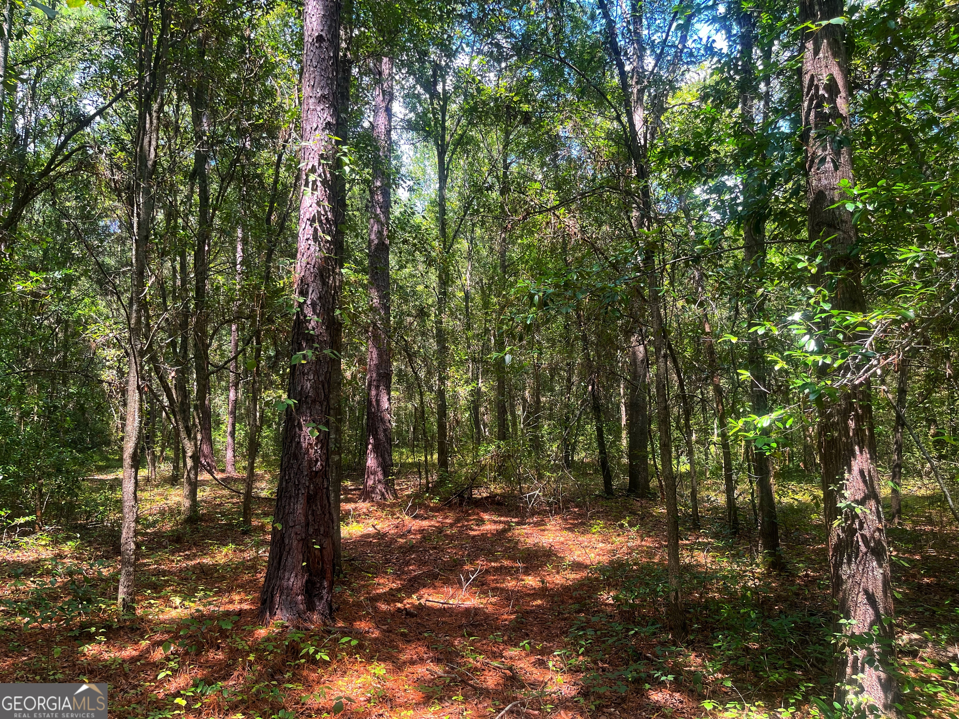 1508 Liberty Expressway Albany, GA 31705 - Photo 55 of 55