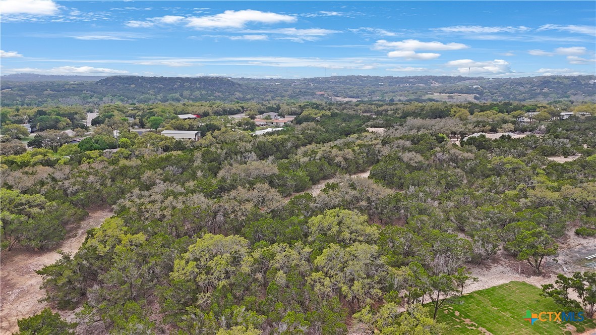 1084 Dog Leg Lane Spring Branch, TX 78070 - Photo 11 of 14 a view of a city with lush green forest