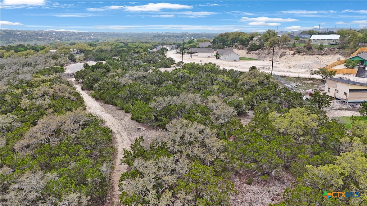 1084 Dog Leg Lane Spring Branch, TX 78070 - Photo 14 of 14 a view of a city