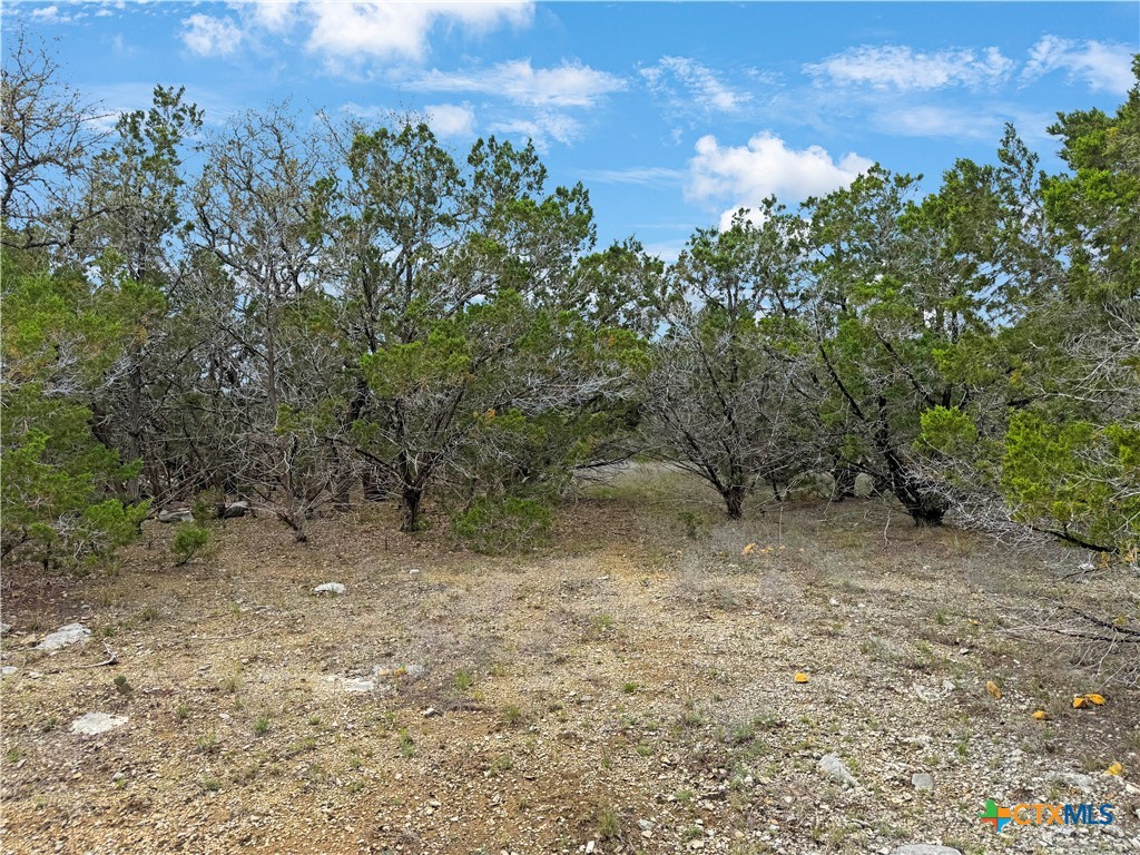 1084 Dog Leg Lane Spring Branch, TX 78070 - Photo 7 of 14 a view of a dry yard with trees