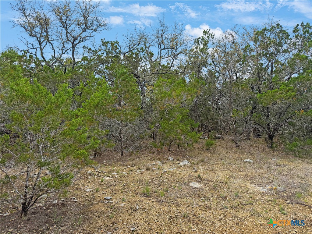 1084 Dog Leg Lane Spring Branch, TX 78070 - Photo 8 of 14 a view of a yard with a tree
