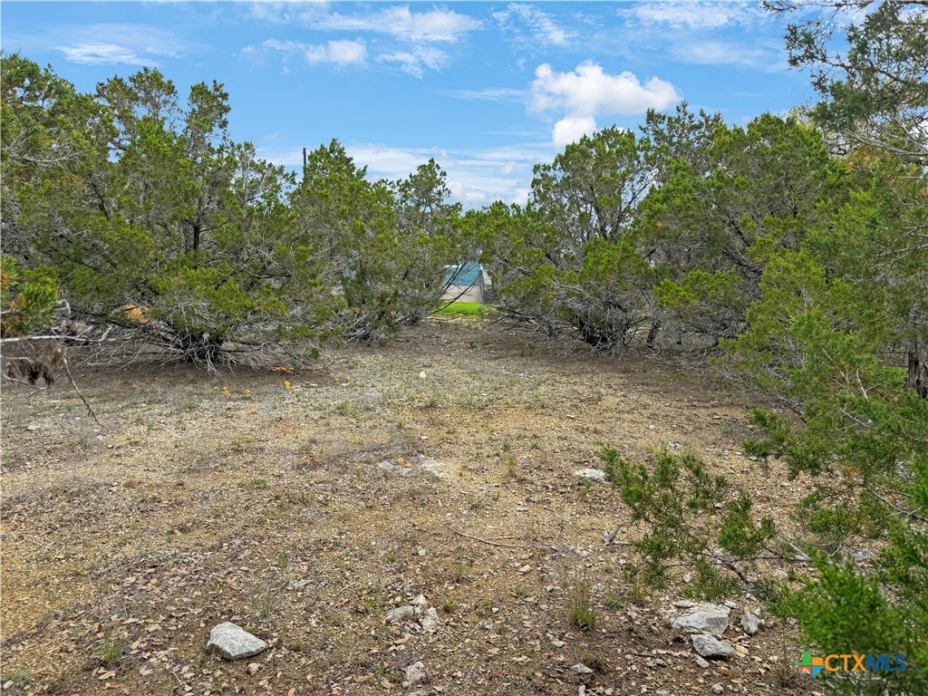 1084 Dog Leg Lane Spring Branch, TX 78070 - Photo 9 of 14 a backyard of a house with lots of green space