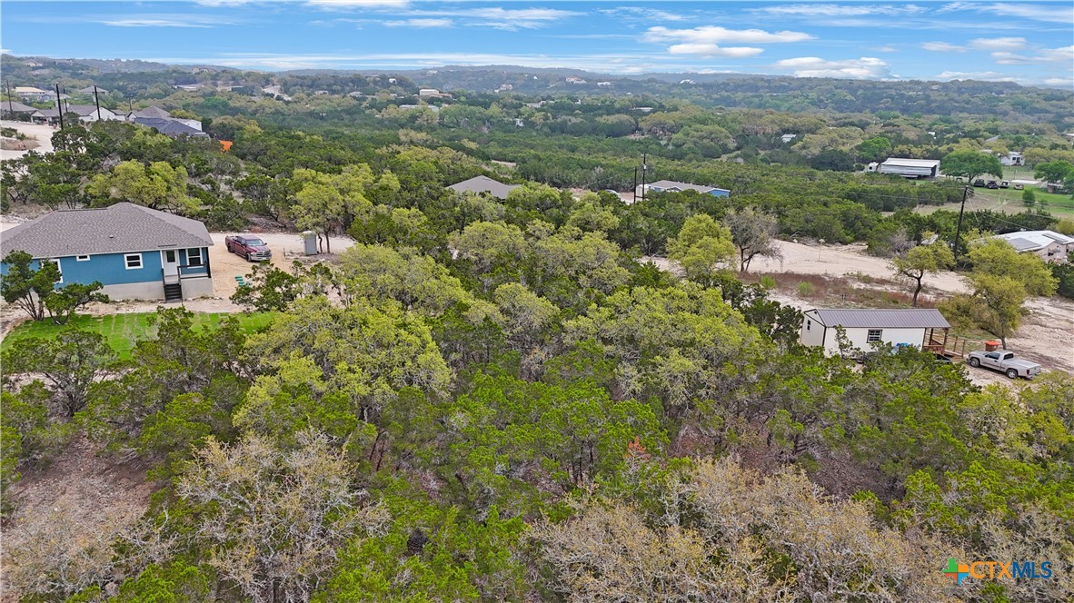 1084 Dog Leg Lane Spring Branch, TX 78070 - Photo 10 of 14 an aerial view of residential houses with outdoor space and trees