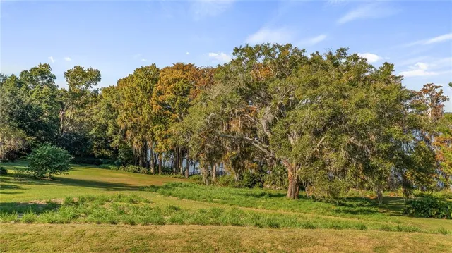 a view of a field with trees