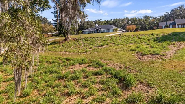 a view of a yard with a tree