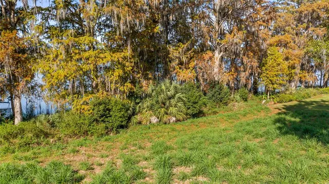 a view of a big yard with large trees