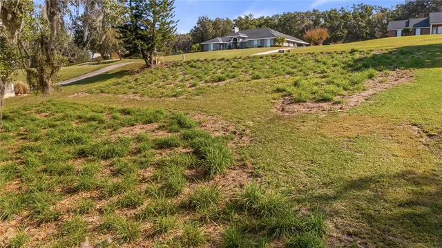 a garden with trees in front of it