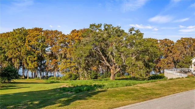 a view of a yard with large trees