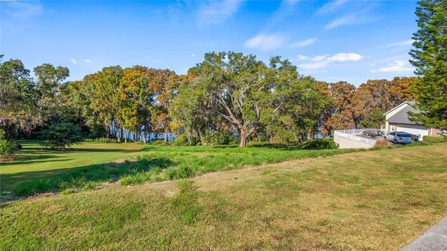a view of a park with large trees