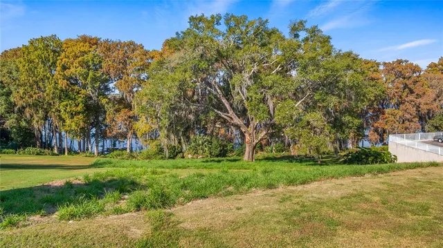 a view of a field of grass and trees