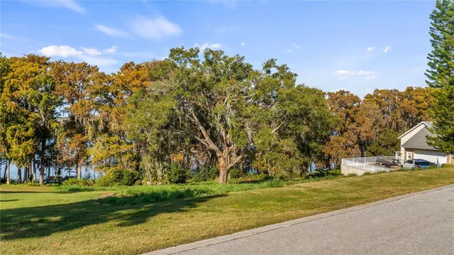 a view of yard with tree and green space