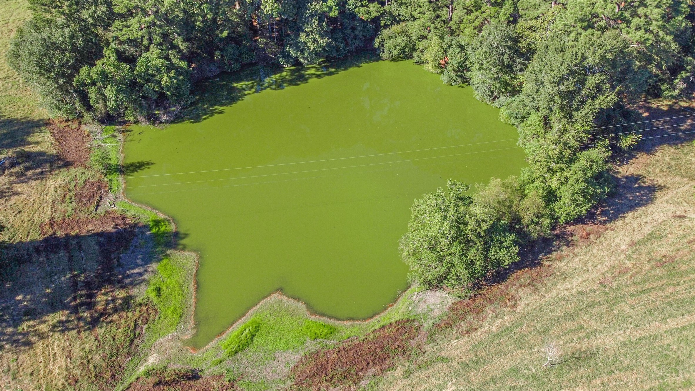 140 Little Loop Road New Waverly, TX 77358 - Photo 11 of 26 a view of a garden