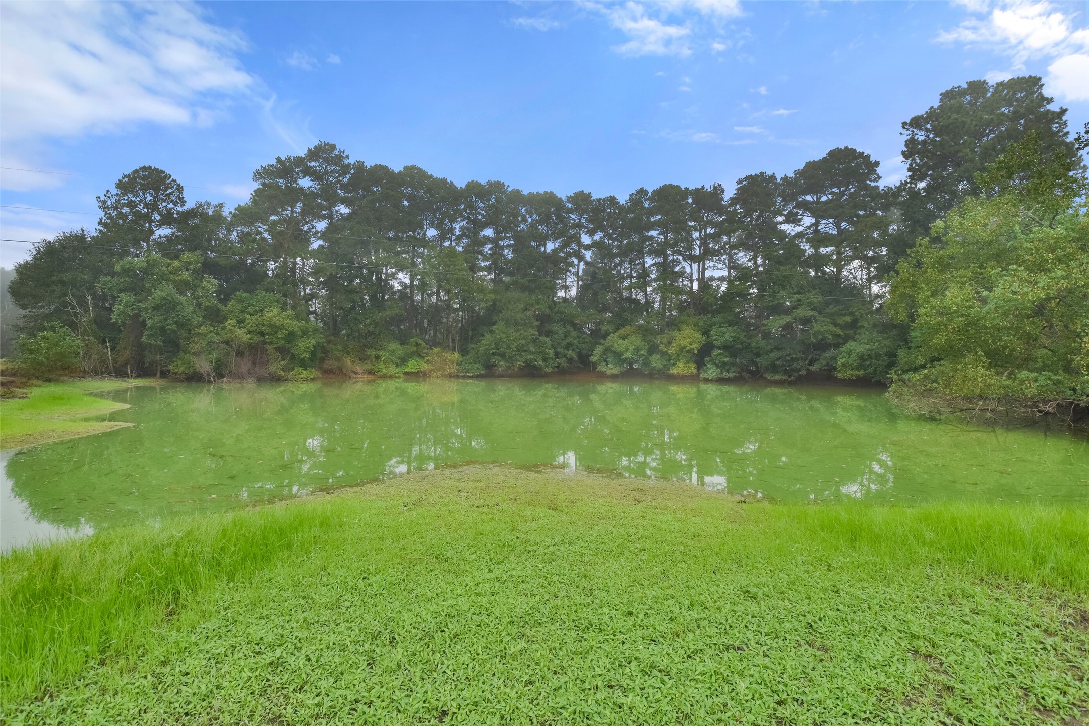 140 Little Loop Road New Waverly, TX 77358 - Photo 12 of 26 a view of a lake with a yard