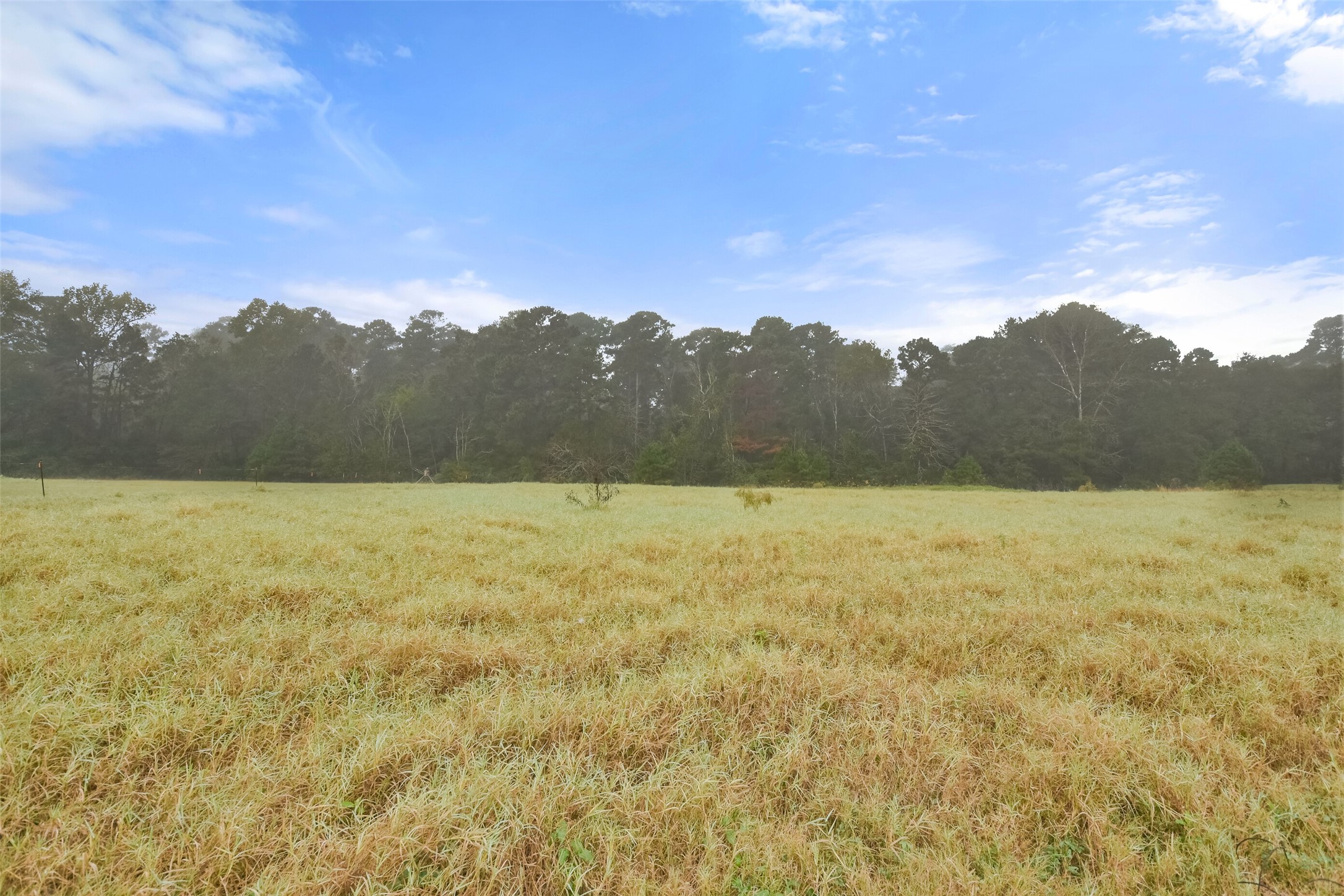 140 Little Loop Road New Waverly, TX 77358 - Photo 14 of 26 a view of an outdoor space and mountain view