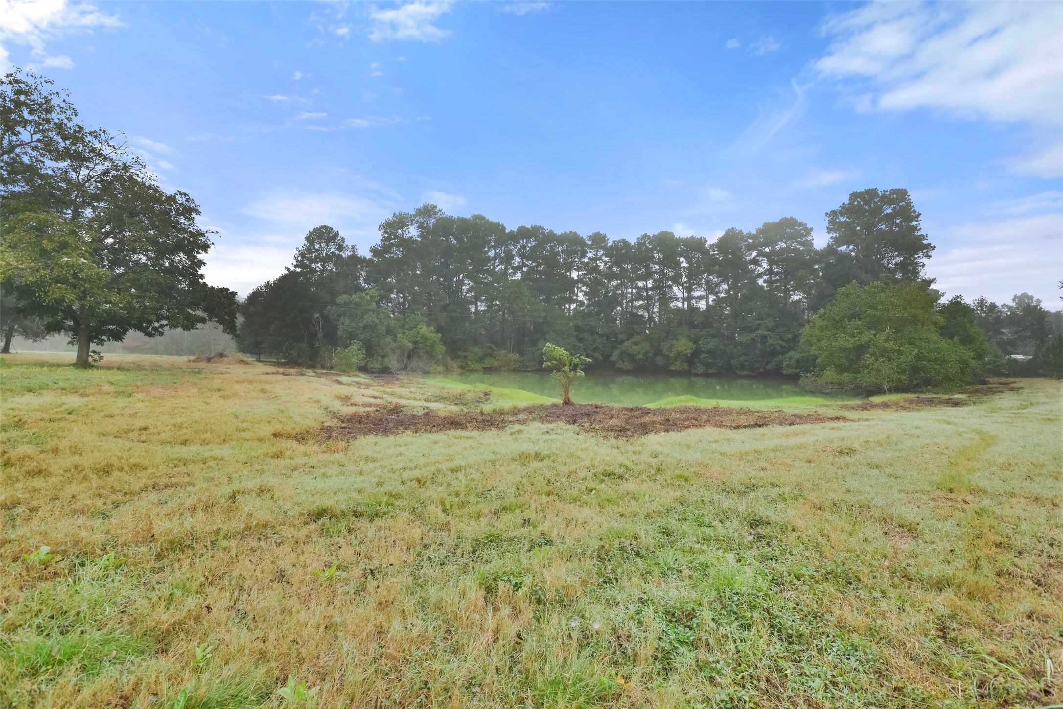 140 Little Loop Road New Waverly, TX 77358 - Photo 15 of 26 a view of a field with an ocean