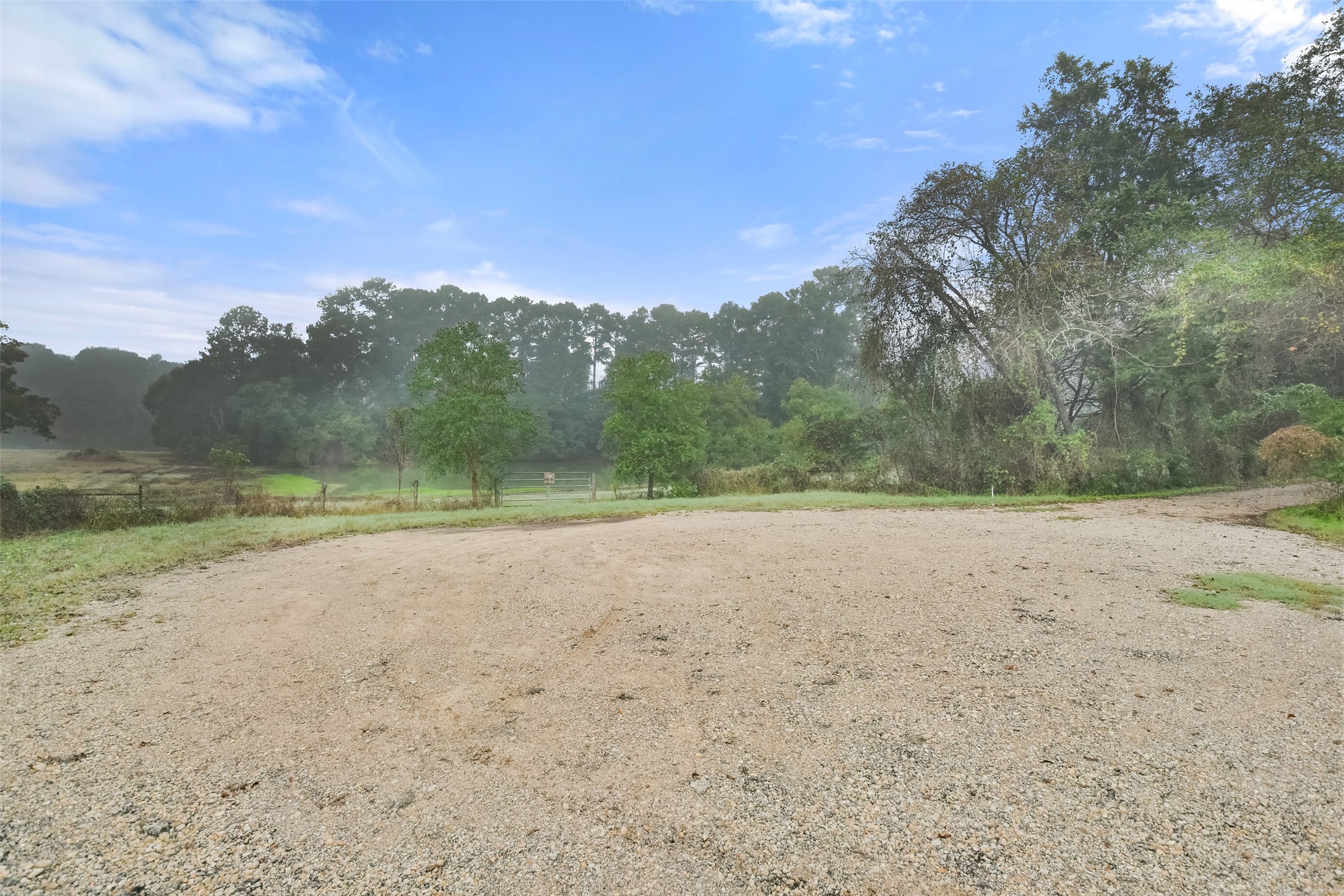 140 Little Loop Road New Waverly, TX 77358 - Photo 16 of 26 a view of a field with trees in background