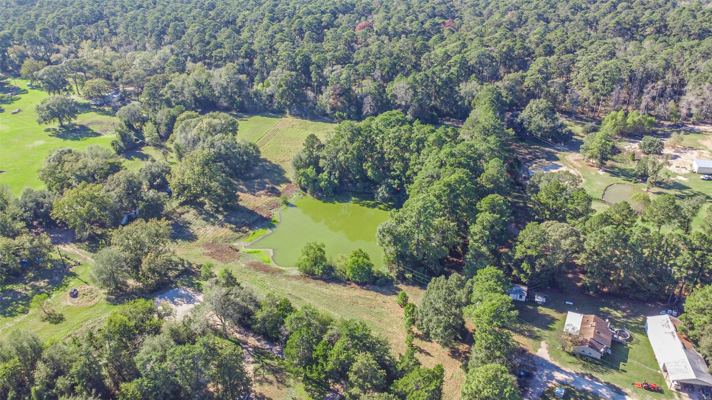 140 Little Loop Road New Waverly, TX 77358 - Photo 17 of 26 a view of a garden with plants