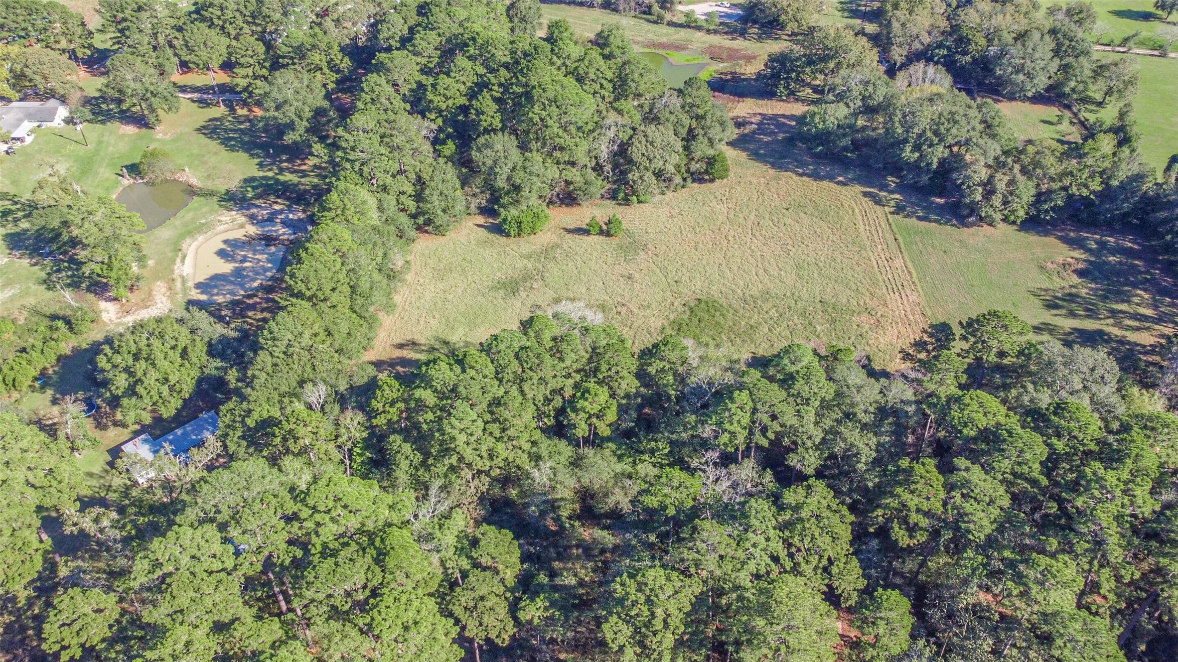 140 Little Loop Road New Waverly, TX 77358 - Photo 20 of 26