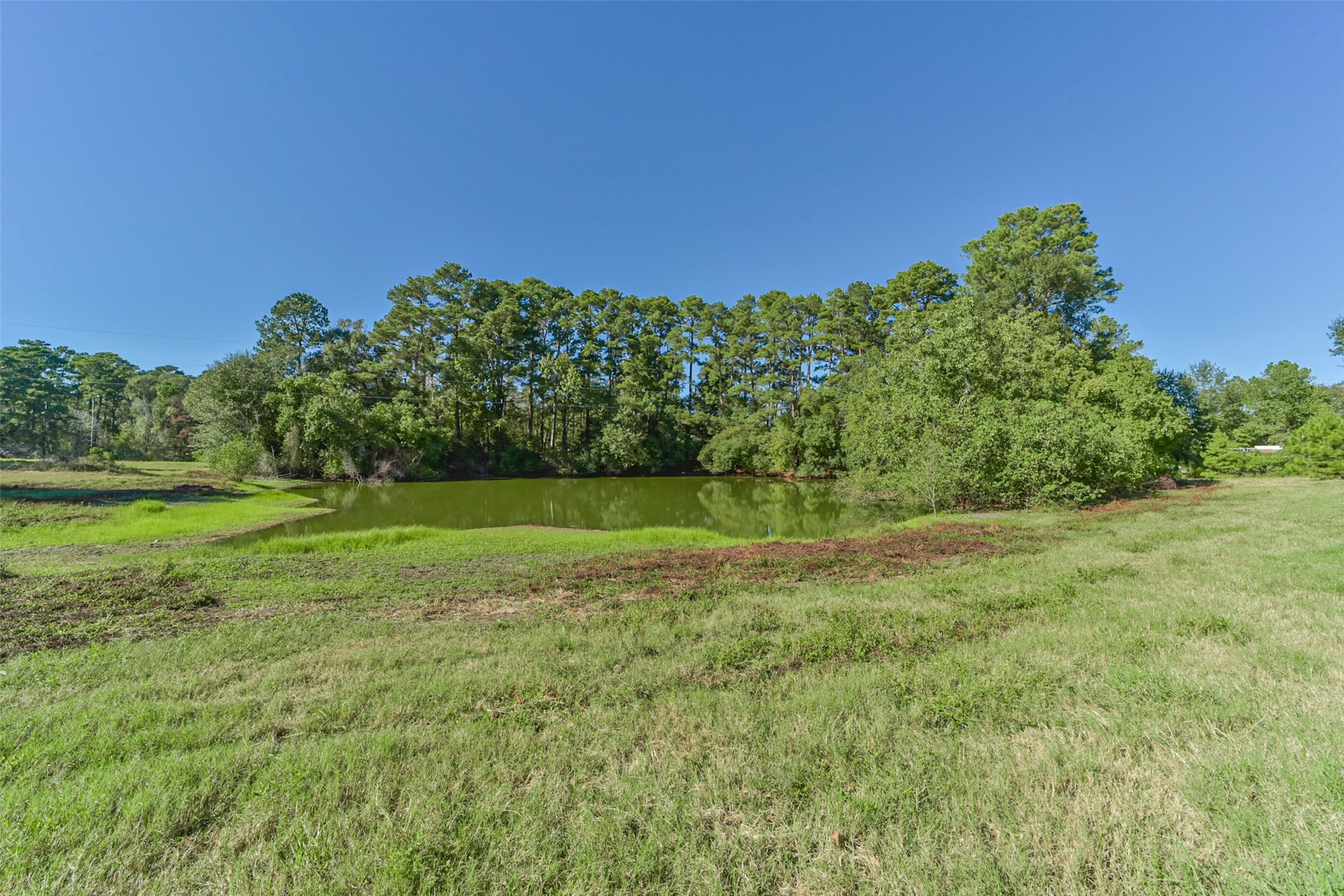 140 Little Loop Road New Waverly, TX 77358 - Photo 2 of 26 a view of a green field with wooden fence