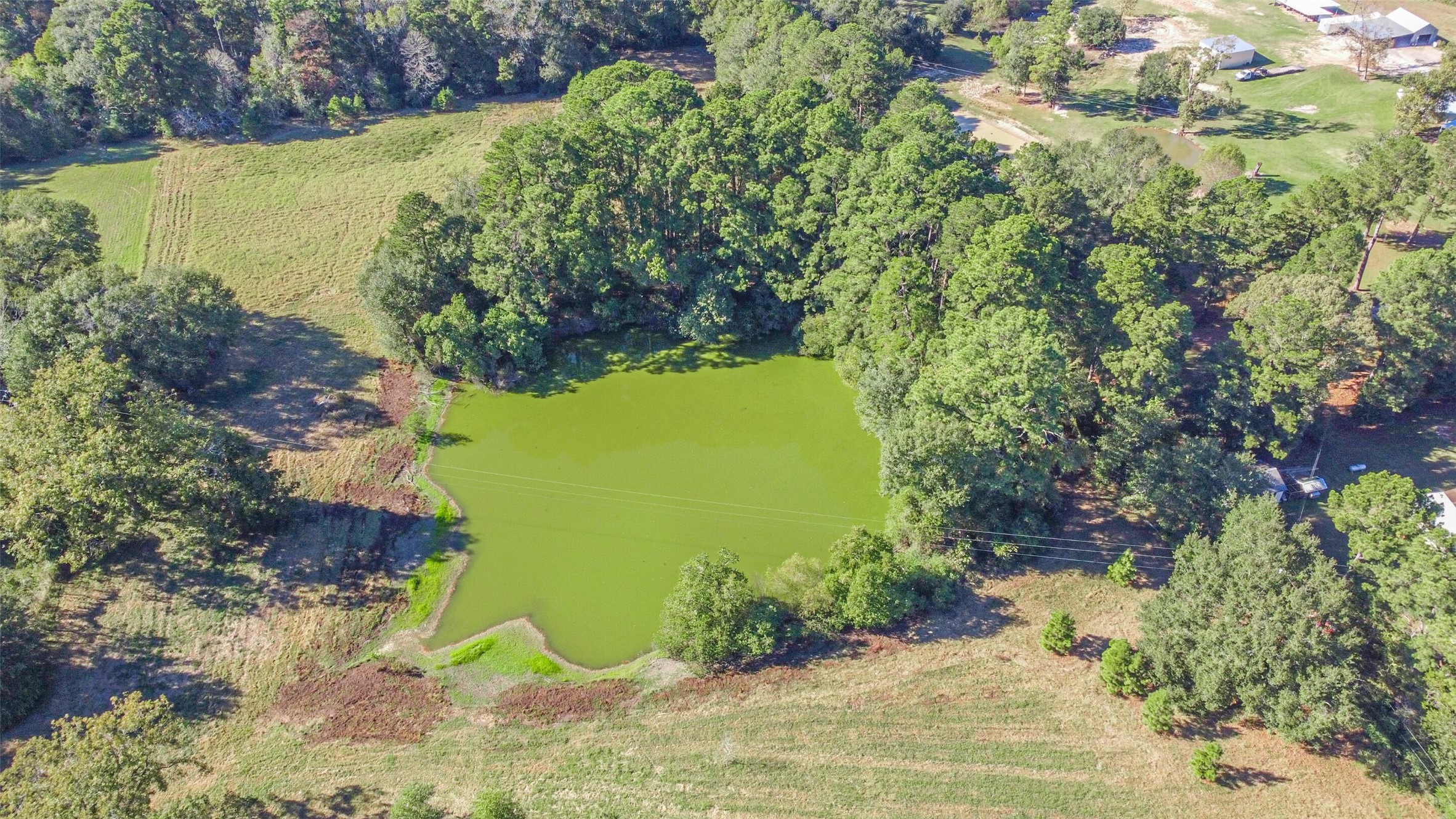 140 Little Loop Road New Waverly, TX 77358 - Photo 22 of 26 a view of a garden with plants