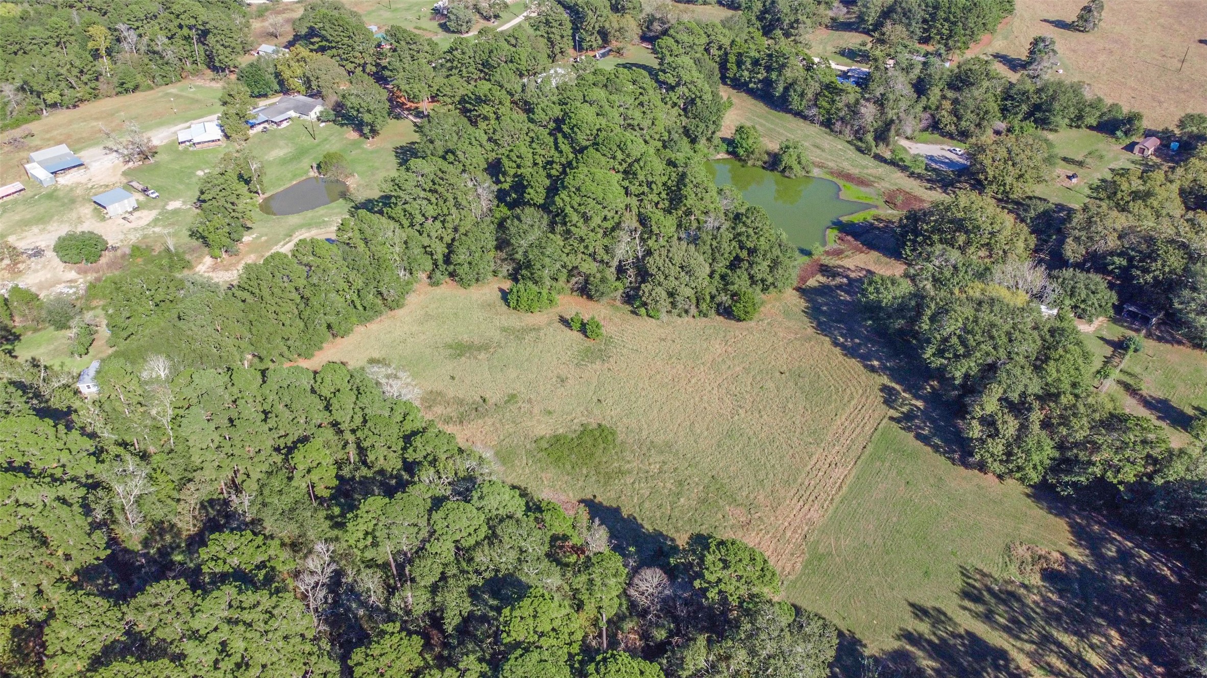 140 Little Loop Road New Waverly, TX 77358 - Photo 24 of 26 a view of a garden with plants