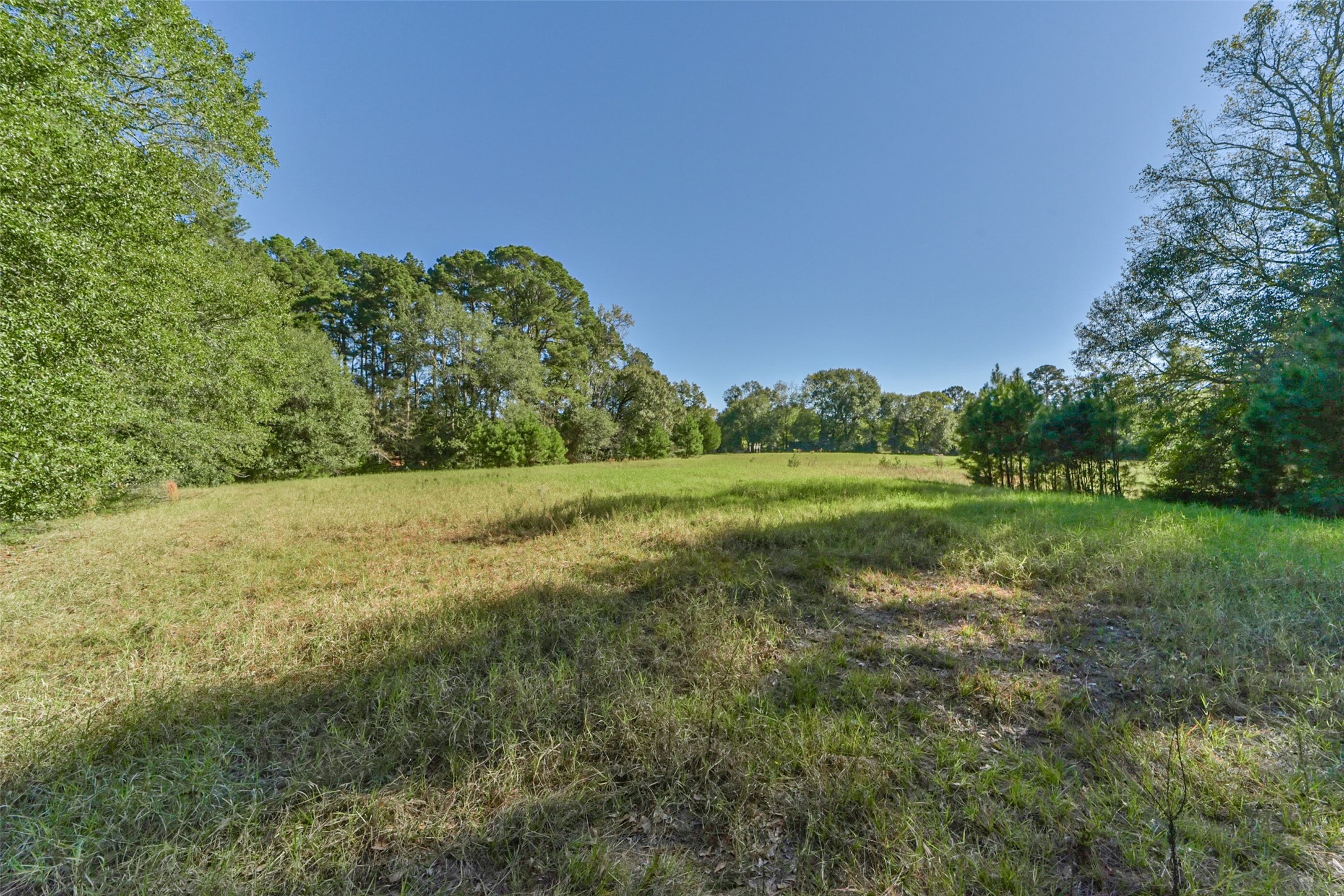 140 Little Loop Road New Waverly, TX 77358 - Photo 4 of 26 a view of a field with grass and trees