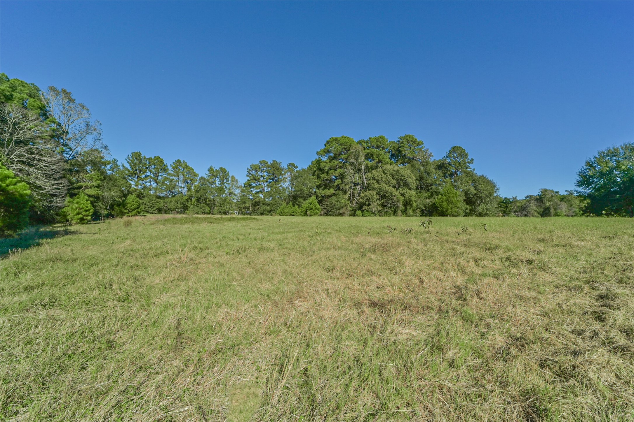 140 Little Loop Road New Waverly, TX 77358 - Photo 5 of 26 a view of a field with trees in background