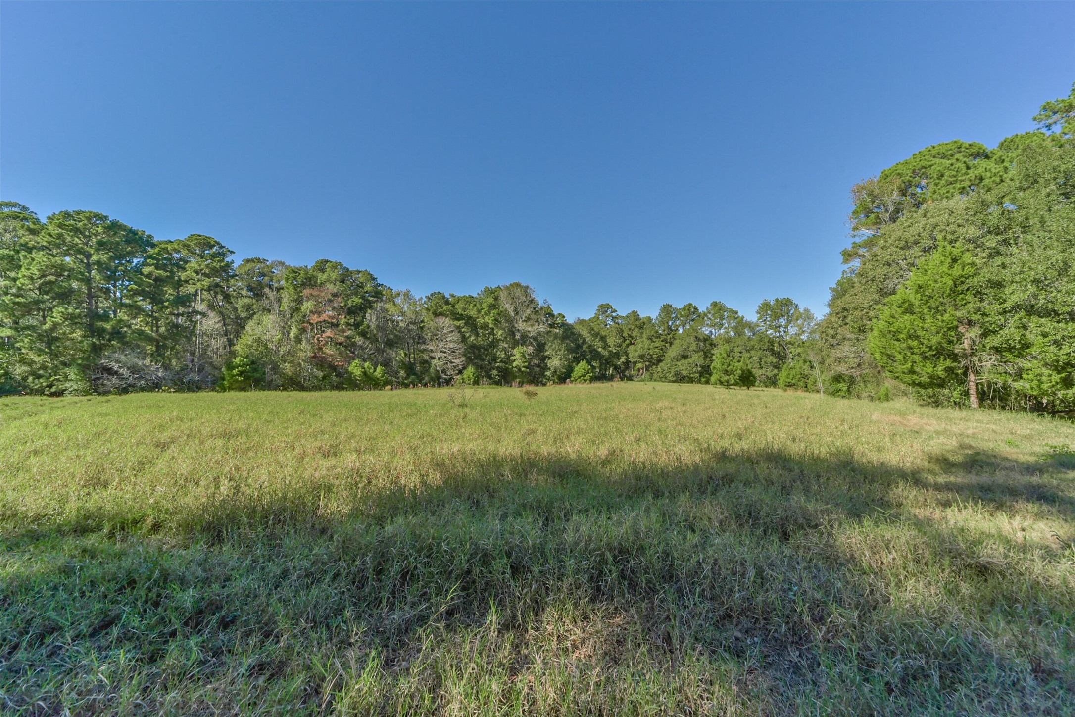 140 Little Loop Road New Waverly, TX 77358 - Photo 6 of 26 a view of a lush green outdoor space with a lake view